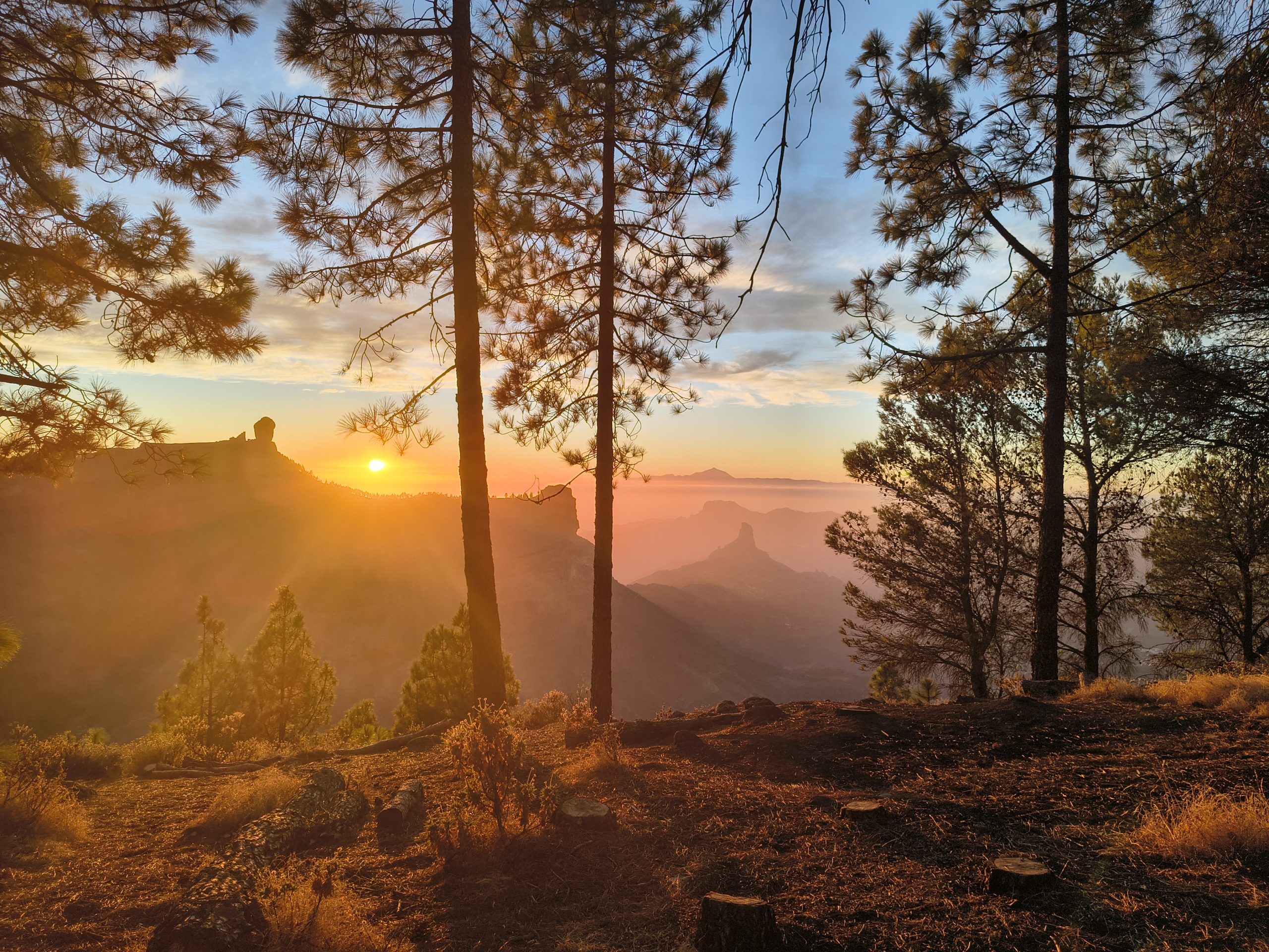 Wandern auf Gran Canaria, Spanien mit kleinen Kindern und Baby